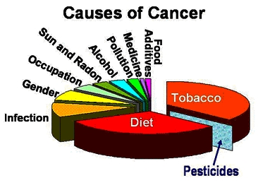 Factors Which Are Responsible For Causing Cancer